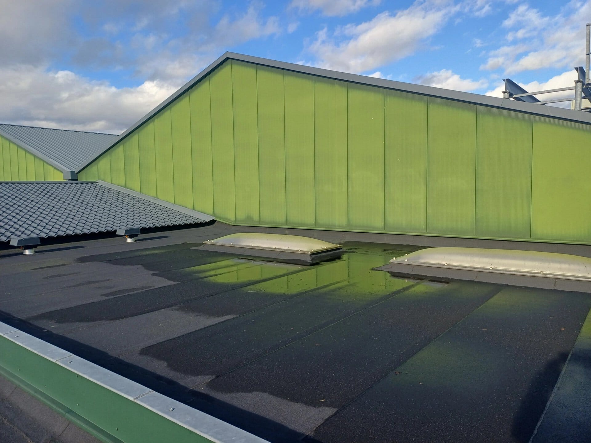 Moderne bedrijfsgevel in groen met dakramen en heldere lucht.